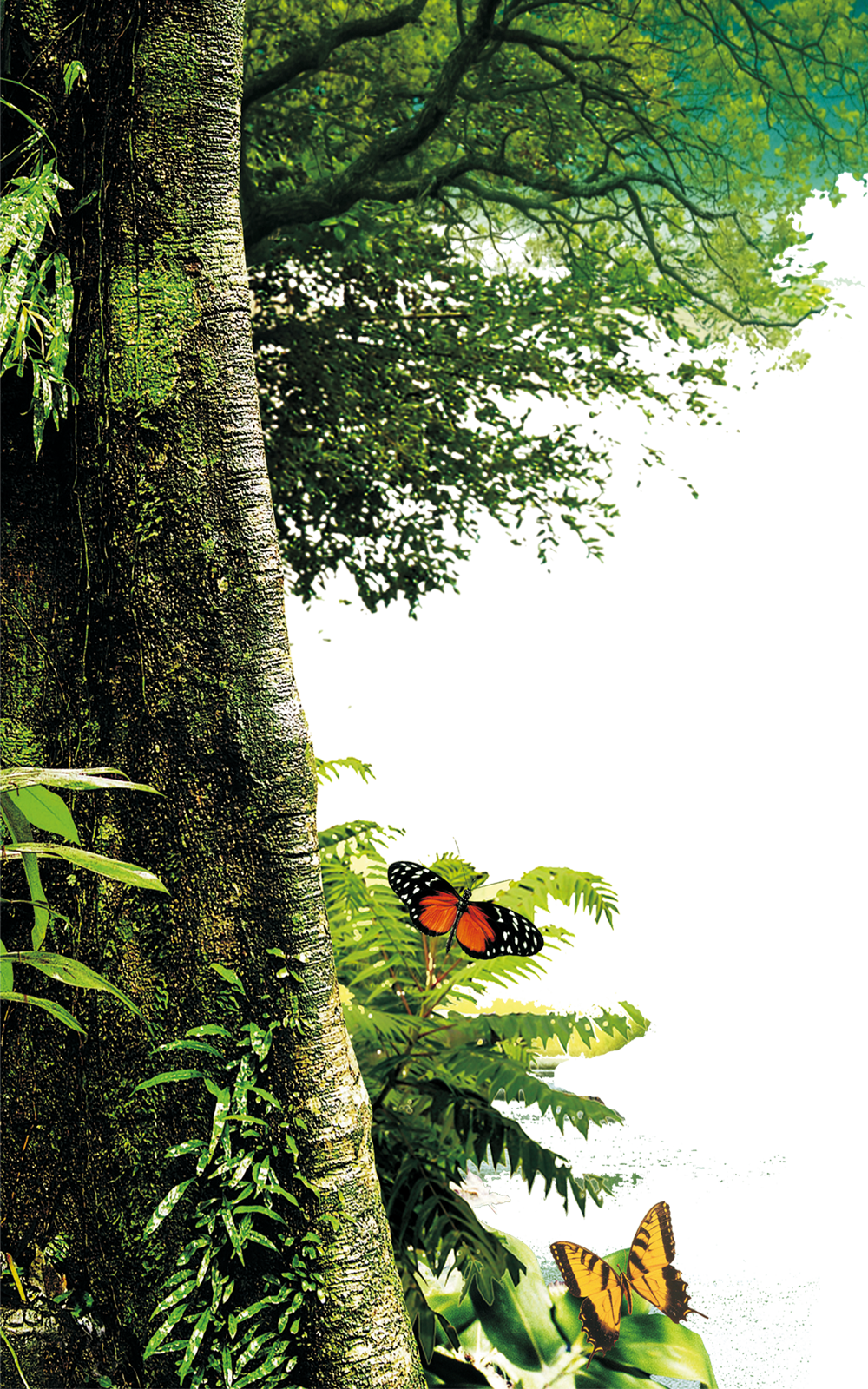Forest Download Png - Edificios Antigos Sao Paulo Clipart (1000x1600), Png Download