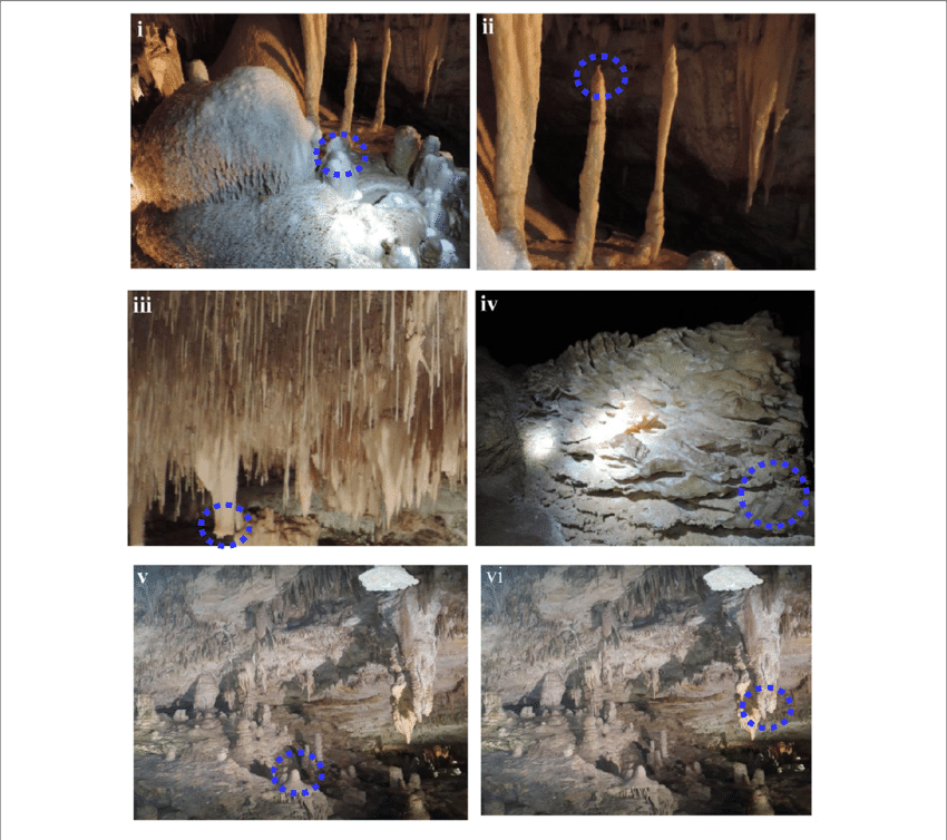 Cave Speleothems Collected From Lake Cave (iv) Moondyne - Soda Straw Clipart (850x754), Png Download