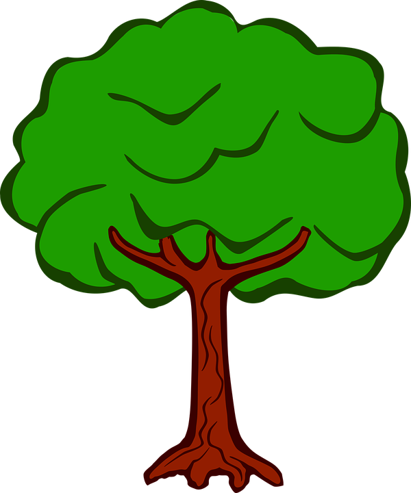 Tree Clipart Clipart Vegetation - Coloured Pictures Of Tree - Png Download (600x720), Png Download