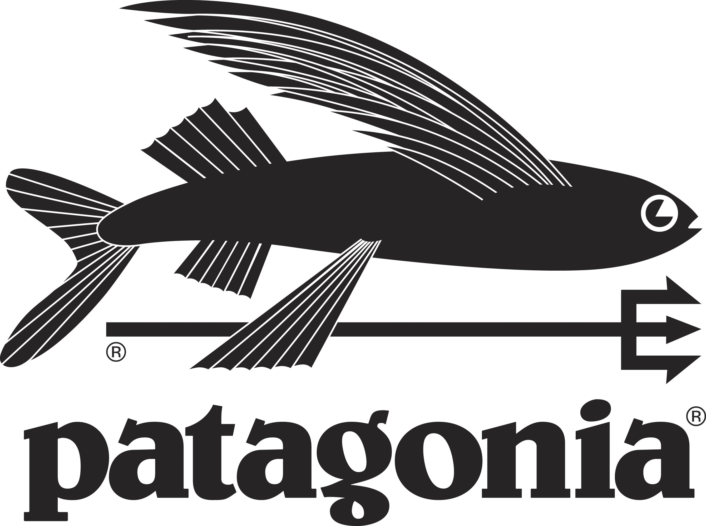 Patagonia Flying Fish Logo Clipart (2681x2000), Png Download