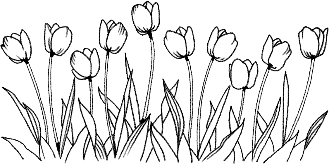 Picture Free Stock Flower Coloring Book Art Tulips - Snow Crocus Clipart (1200x1200), Png Download