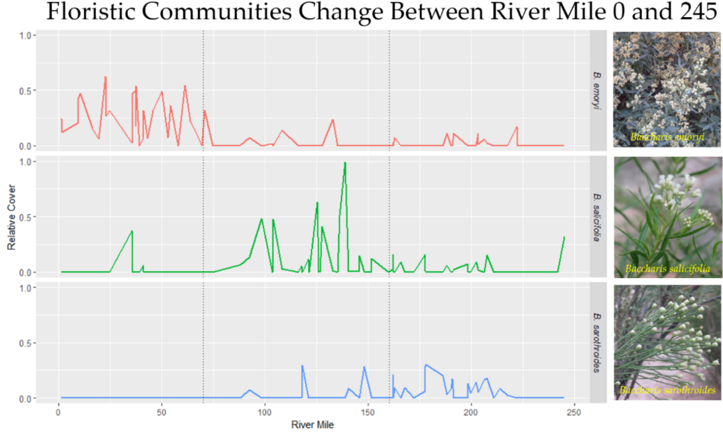 Graph Of Vegetation Communities Along The Colorado - Plot Clipart (1140x626), Png Download