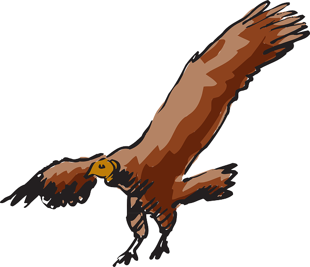 Beaky Buzzard Turkey Vulture Clip Art - Vulture Flying Clip Art - Png Download (640x551), Png Download