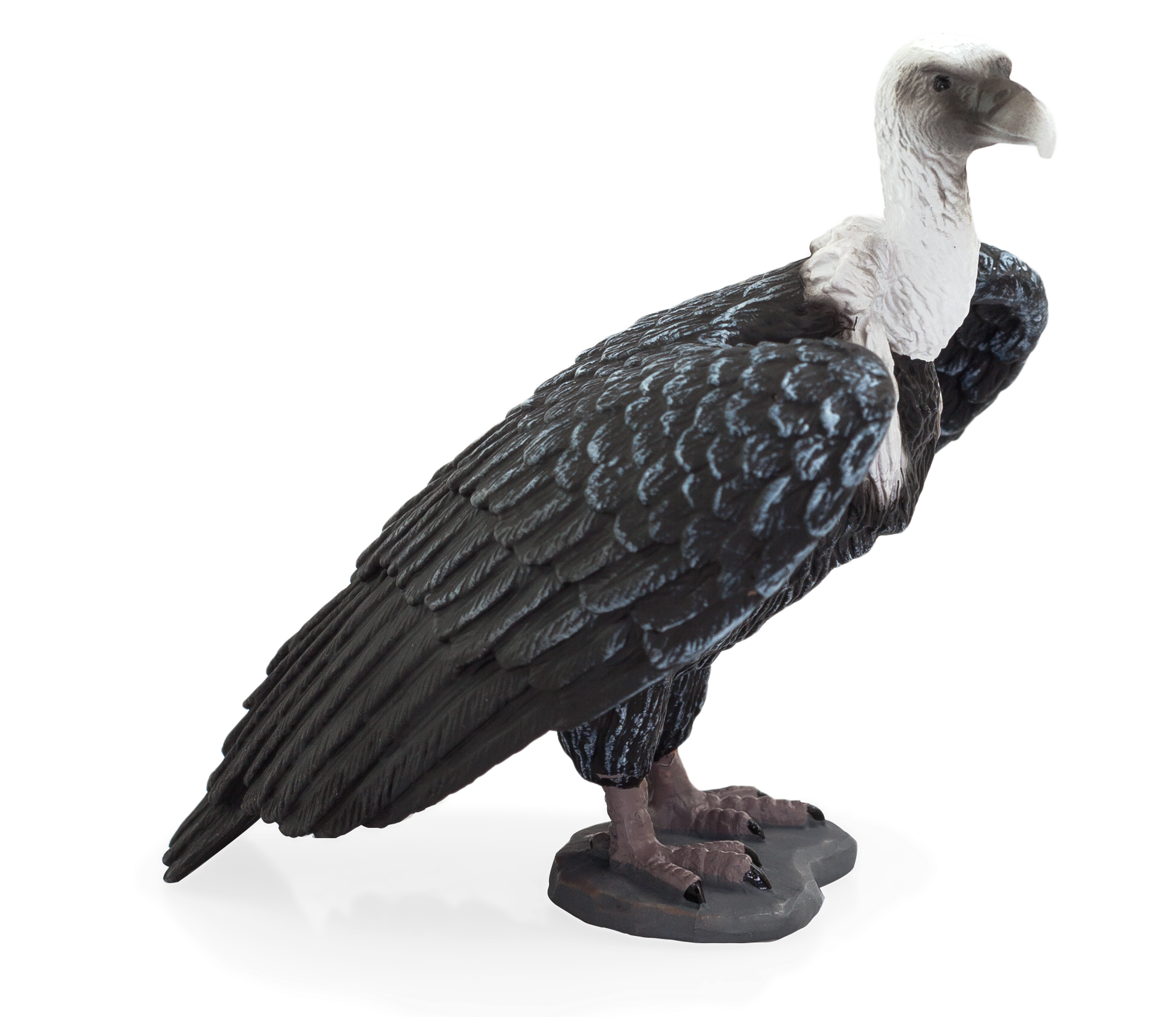 Wildlife - Griffon Vulture Png Clipart (1959x1814), Png Download
