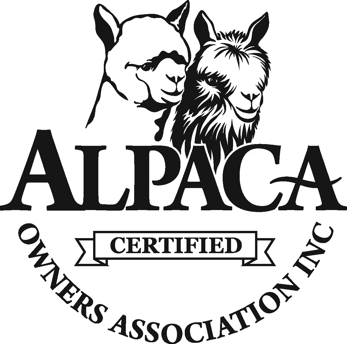 Aoa Certified Ribbon 1200 Px - Alpaca Clipart (1200x1189), Png Download