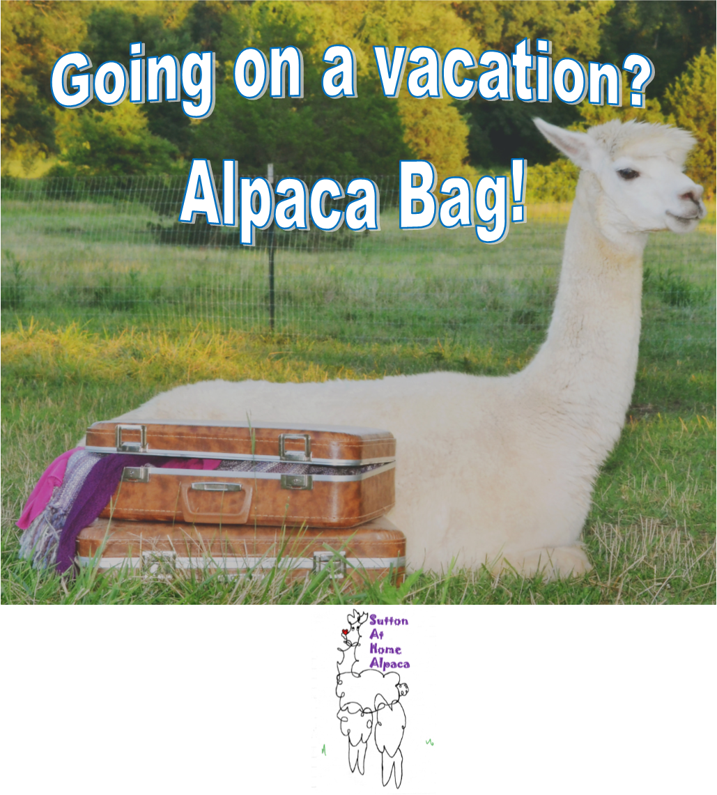 Olacak O Kadar Izle Clipart (1029x1141), Png Download