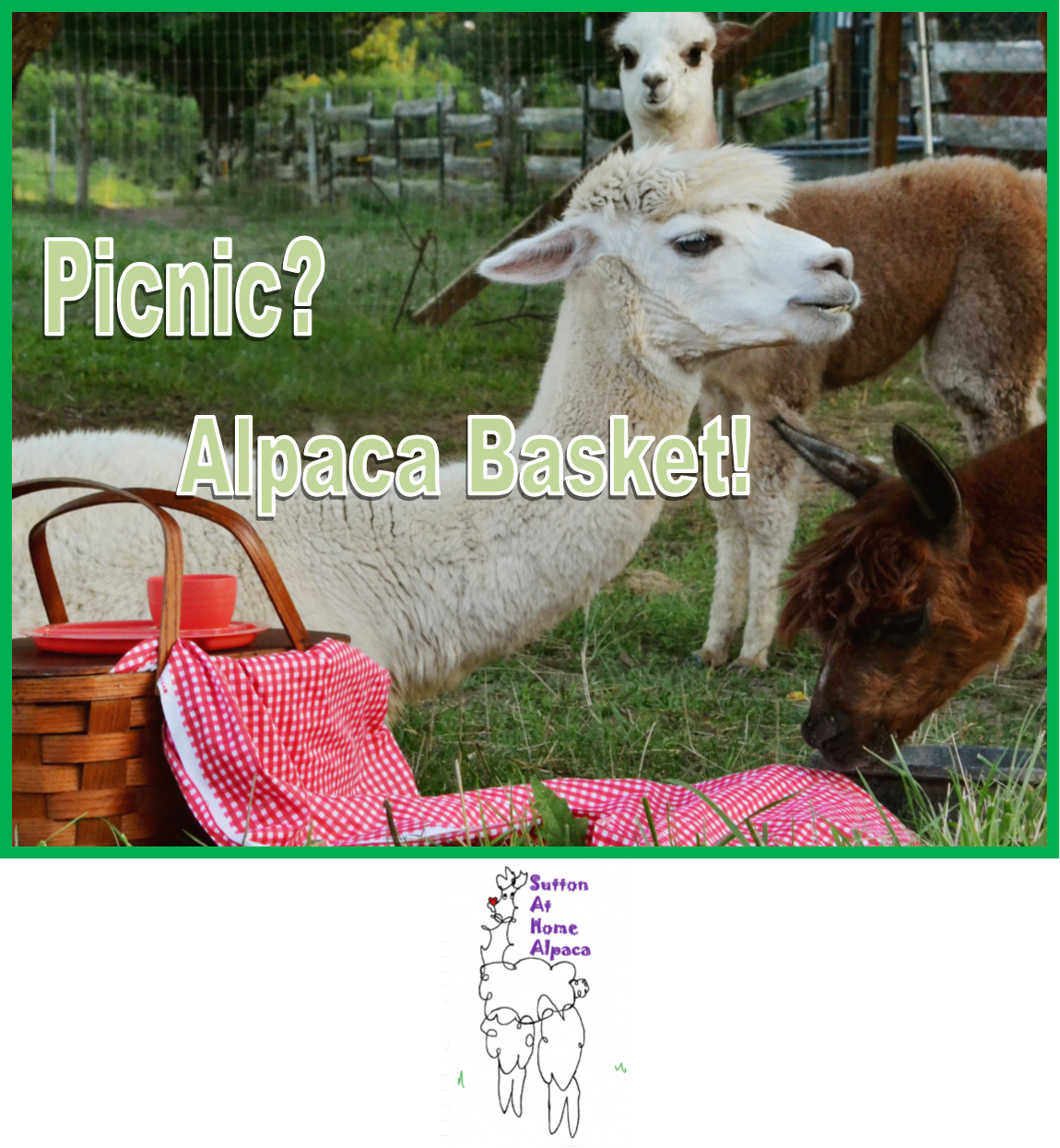"picnic Alpaca" T Shirt - Livestock Clipart (1150x1245), Png Download