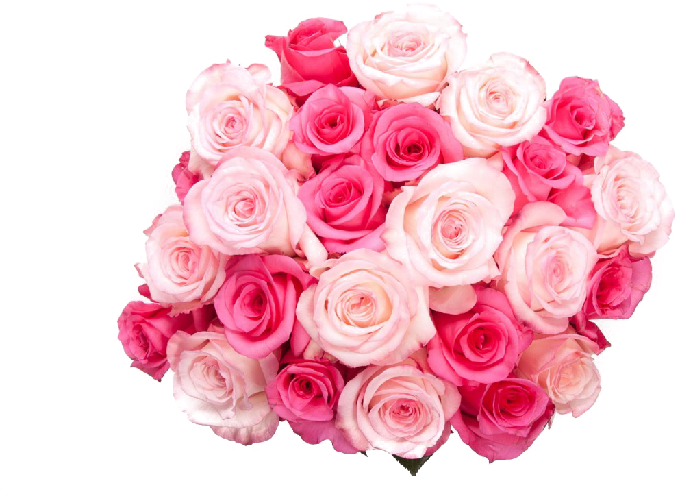 Bouquet Of Birthday Flowers Png Transparent Image - Pink Rose Bucket Png Clipart (1200x1200), Png Download