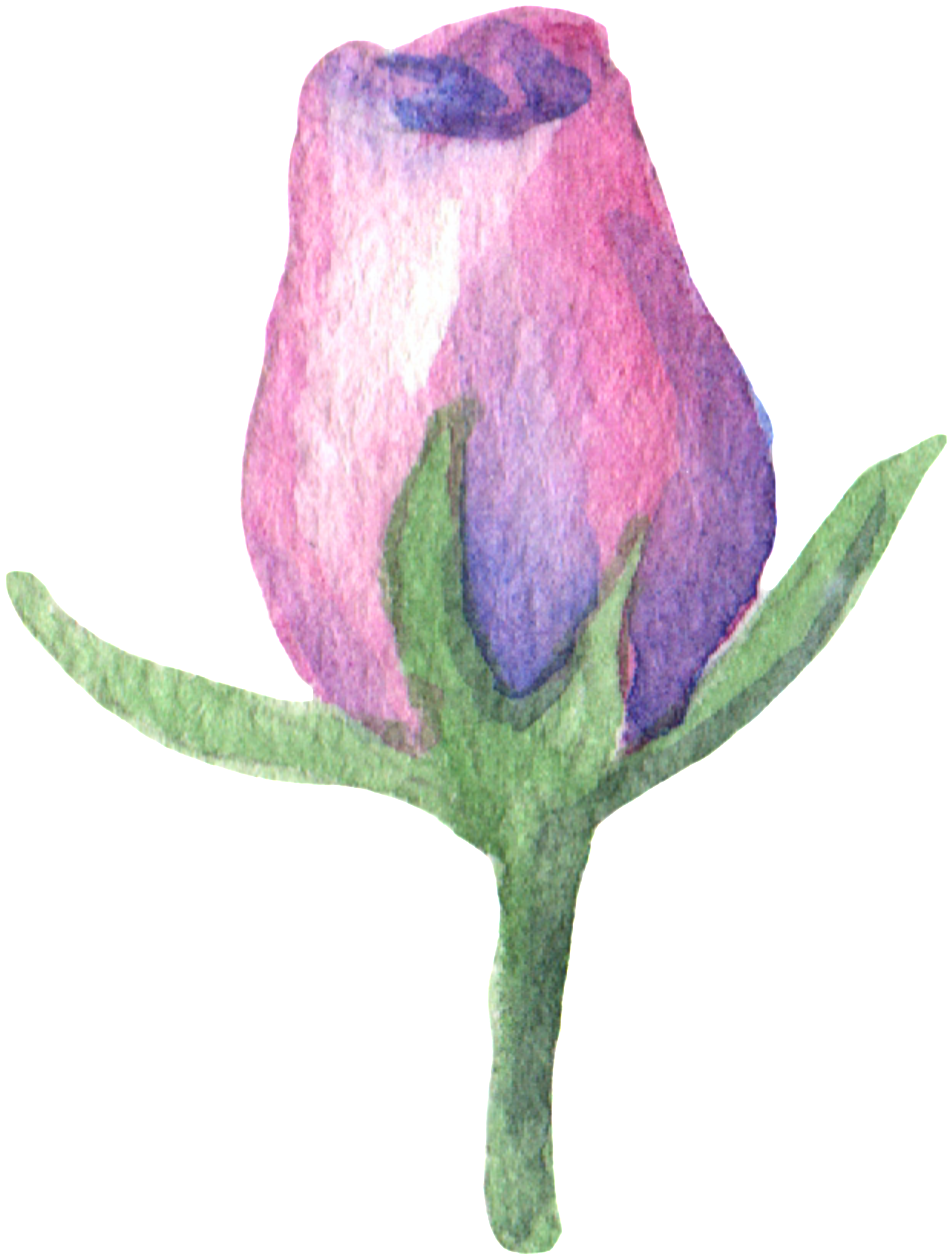 Purple Scent Bouquet Transparent Decorative - Rose Clipart (1024x1333), Png Download