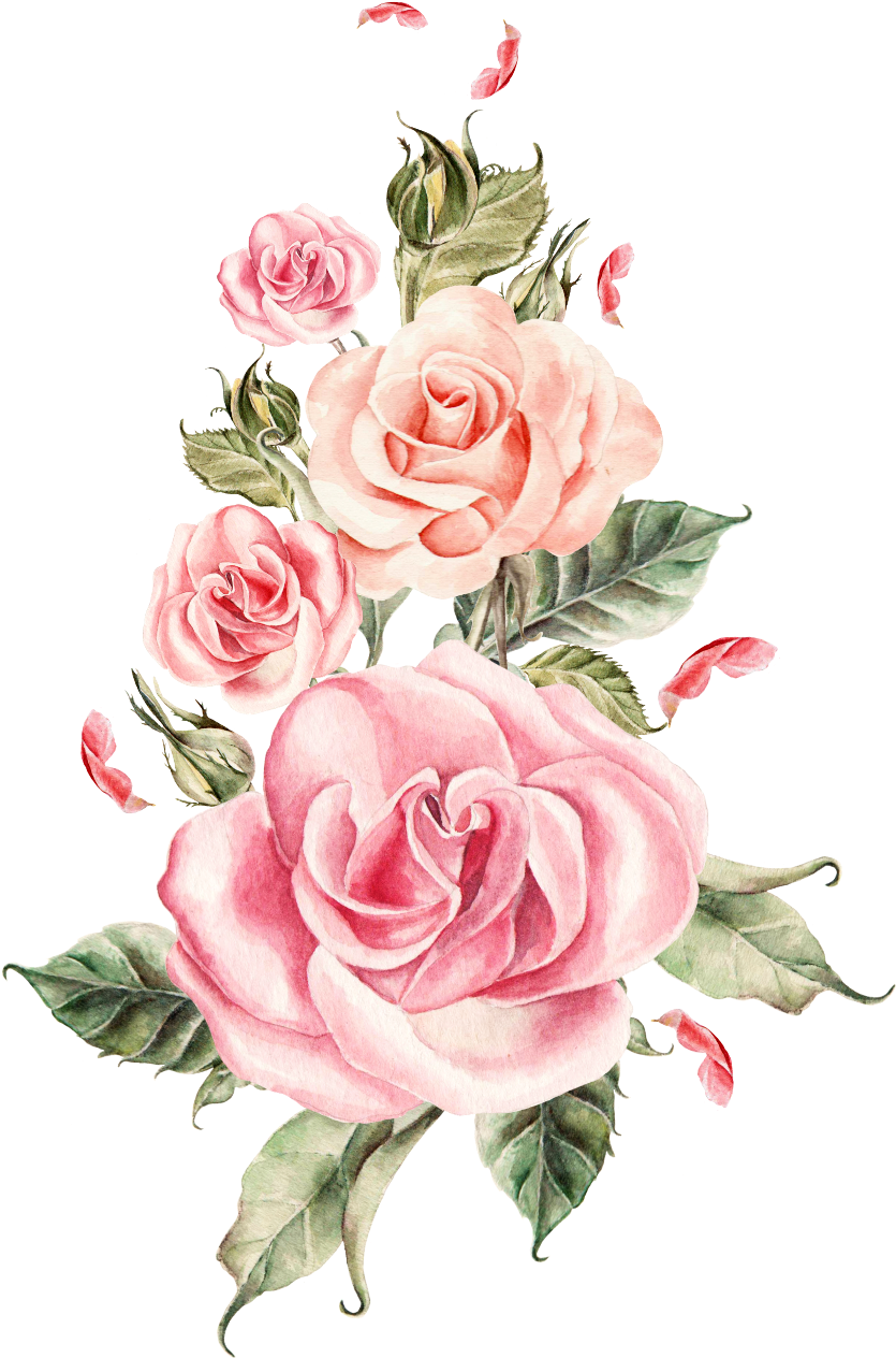 Rose Sticker - Flower Rose Pink Png Clipart (1024x1356), Png Download