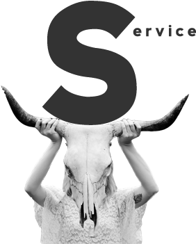 Service - Bull Clipart (800x500), Png Download
