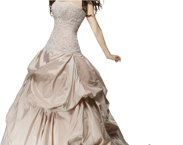 Saree Clipart Transparent - Selena Gomez Wedding Dress - Png Download (640x480), Png Download