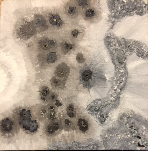 Img 0844 - Blueberry Clipart (480x640), Png Download