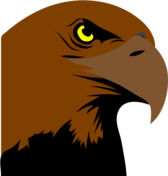 600 X 597 4 - Bald Eagle Clip Art - Png Download (600x597), Png Download