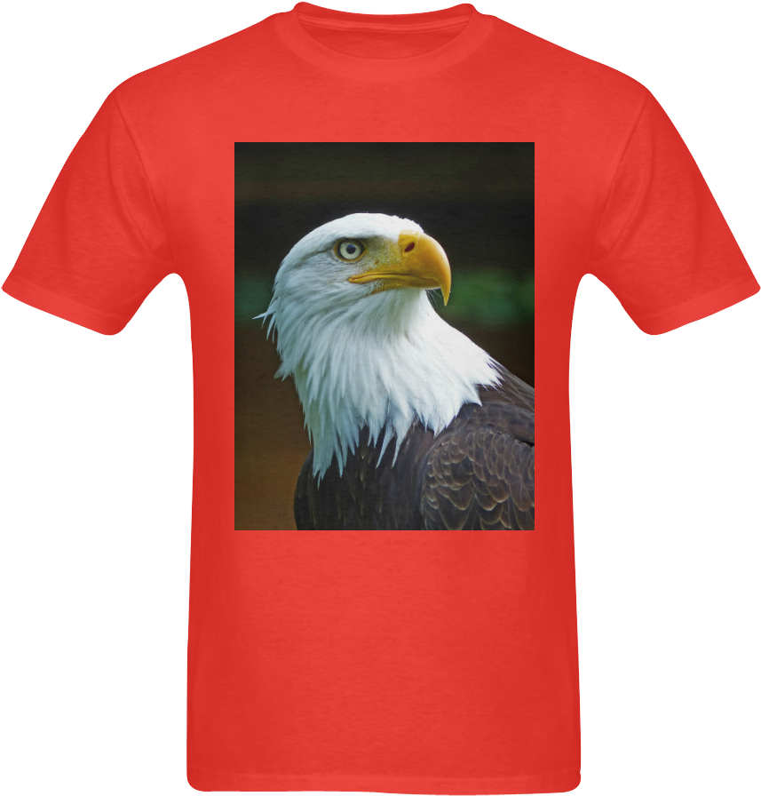 Bald Eagle Clipart (1000x1000), Png Download