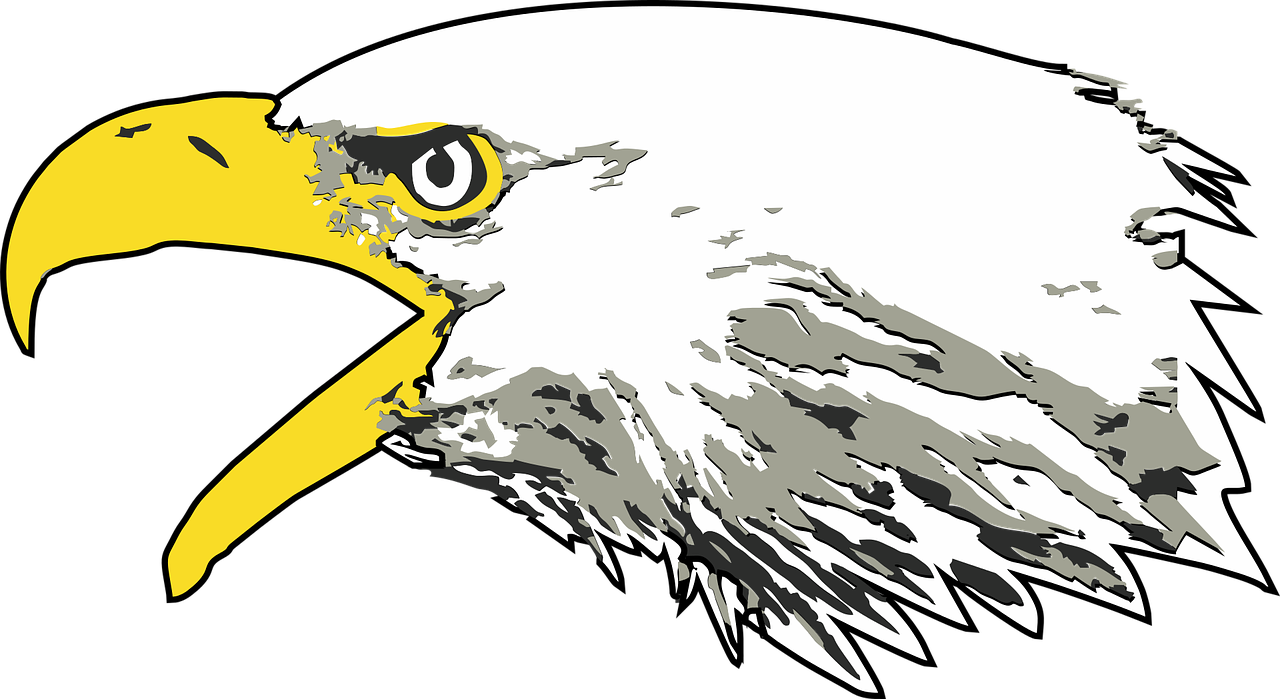 Eagle,bald Eagle,screaming Head - Screaming Eagle Transparent Background Clipart (1280x699), Png Download