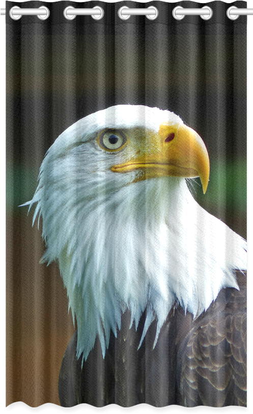 Bald Eagle Head 001 01 New Window Curtain 50" X 84" - Slytherin Window Curtains Clipart (1000x1000), Png Download