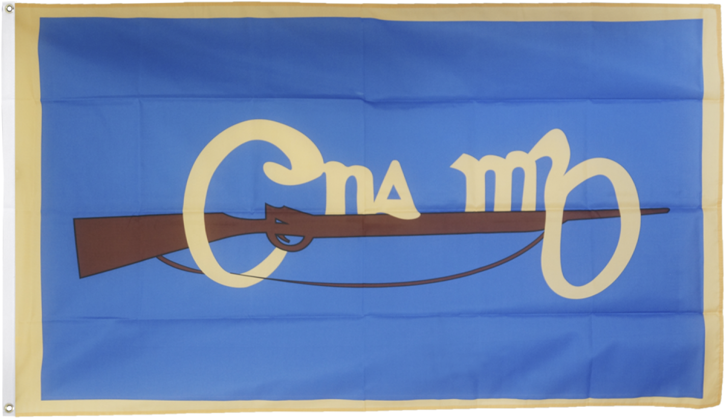 Cumann Na Mban Flag Clipart (1500x997), Png Download