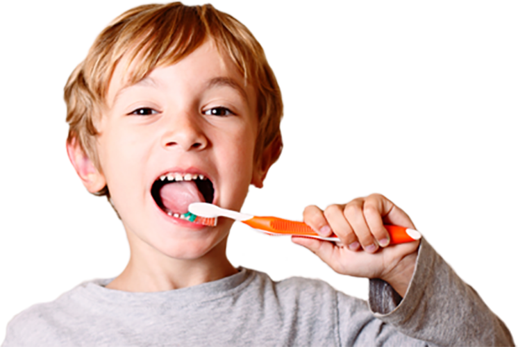 Best Dental Clinic In Kolkata - Child Teeth Png Clipart (746x500), Png Download