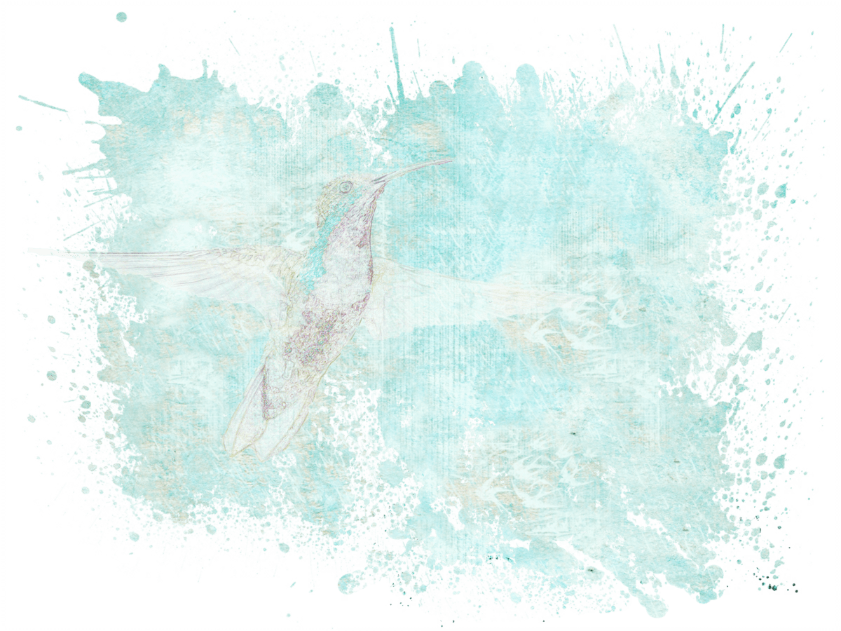 Transparent, Abstract, Computer Art, Bird, Color, Green, - Abstrak Png Clipart (1200x900), Png Download