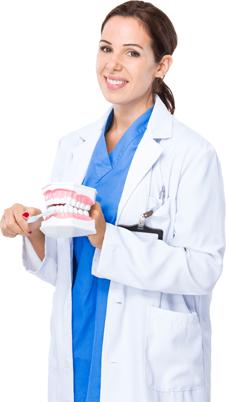 Comprehensive Care - Washington Street Dentistry Clipart (441x783), Png Download