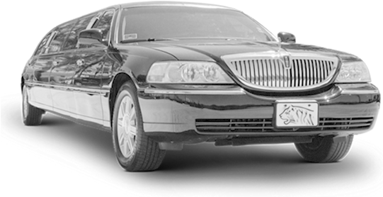 Limousines - Limousine Driver Png Clipart (560x580), Png Download