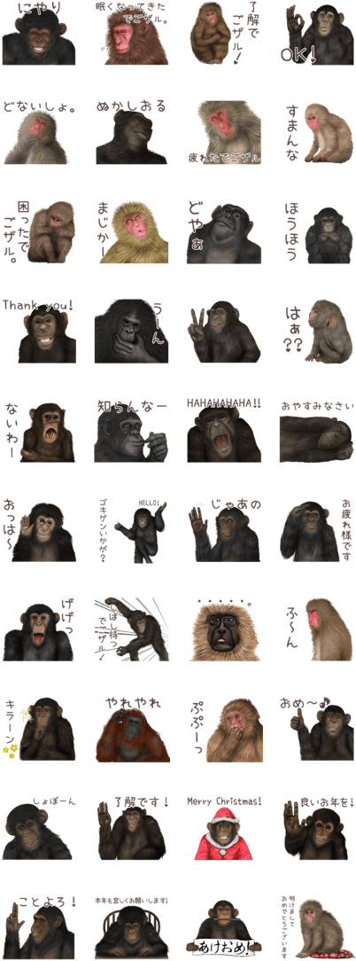 Real Monkey Sticker Of Zumo - Gorilla Clipart (420x1121), Png Download