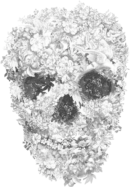 Flower Skull Drawing - Alexander Mcqueen Skull Designs Clipart (500x661), Png Download