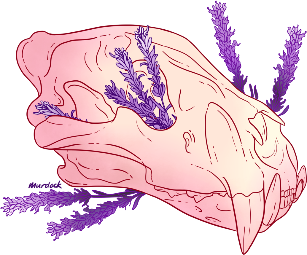 Tumblr Transparent Pastel Skull Tumblr Transparent - Illustration Clipart (1280x1280), Png Download