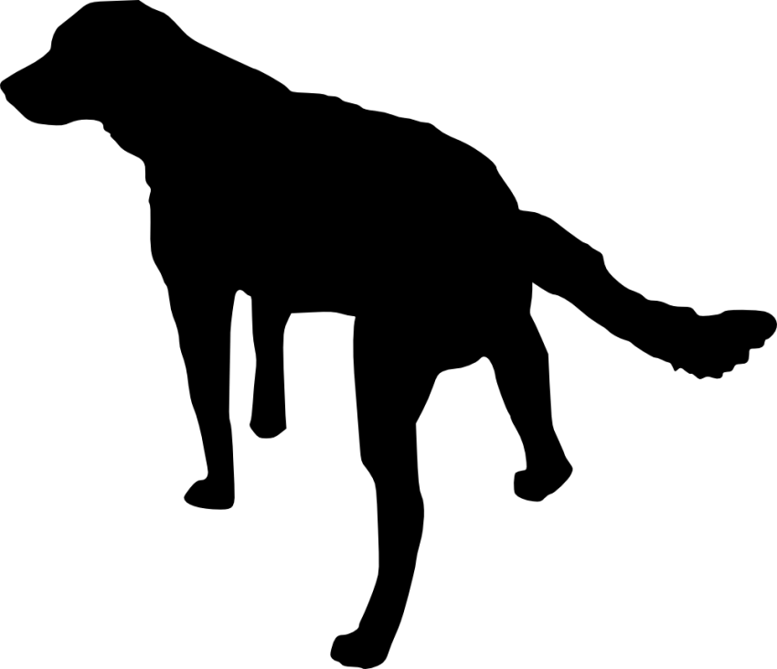 Free Png Dog Silhouette Png Images Transparent - Dog Silhouette No Background Clipart (850x732), Png Download