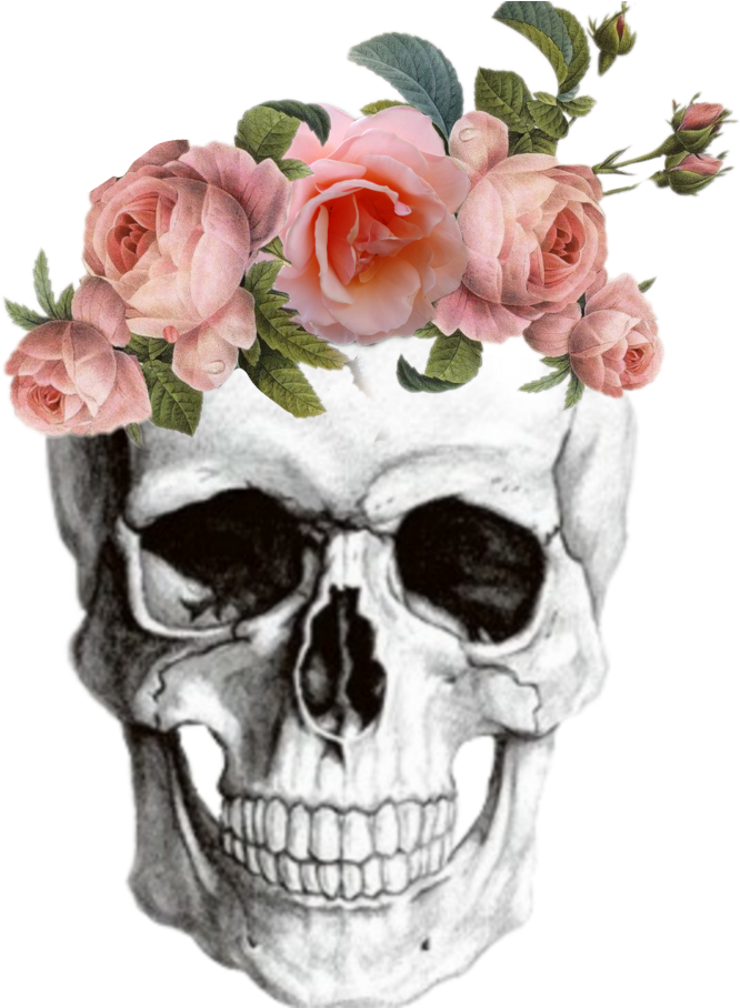 Anatomy Skull Skullsticker Flowers Tumblr - Middle School Shading Worksheet Clipart (1024x1024), Png Download