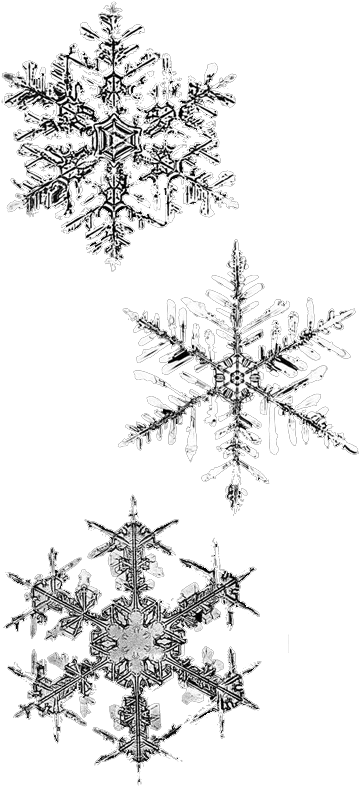 Drawn Snowflake Png Tumblr - Winter Png Clipart (400x808), Png Download