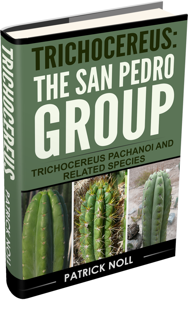 Weberocereus Clipart (695x1047), Png Download