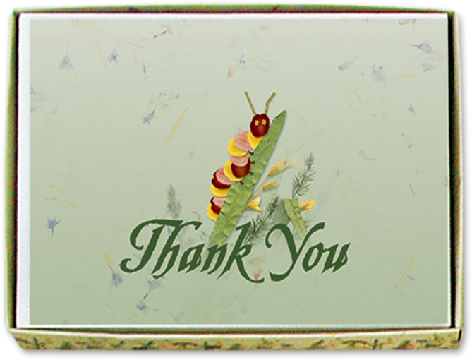 Caterpillar Thank You Cards - Bee Clipart (800x800), Png Download
