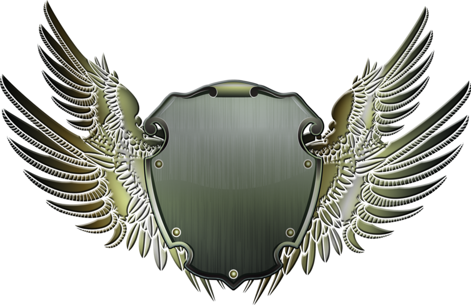 Shield And Wings Png Clipart - Large Size Png Image - PikPng