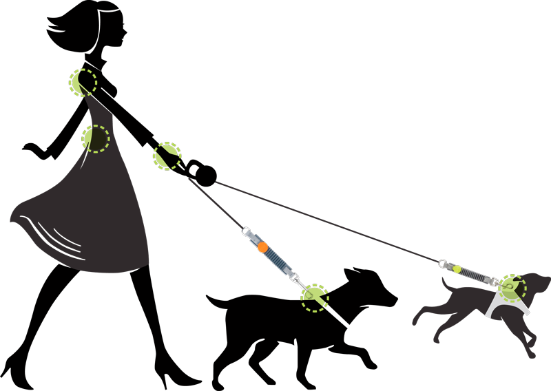 Easy Dog Walk Clipart Freeuse - Dog Catches Something - Png Download (800x568), Png Download