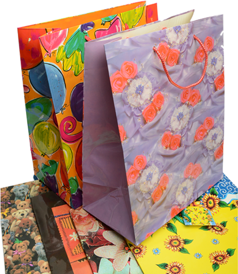 Bolsa Mediana Every Day Tamaño - Fundas De Regalo Png Clipart (600x600), Png Download