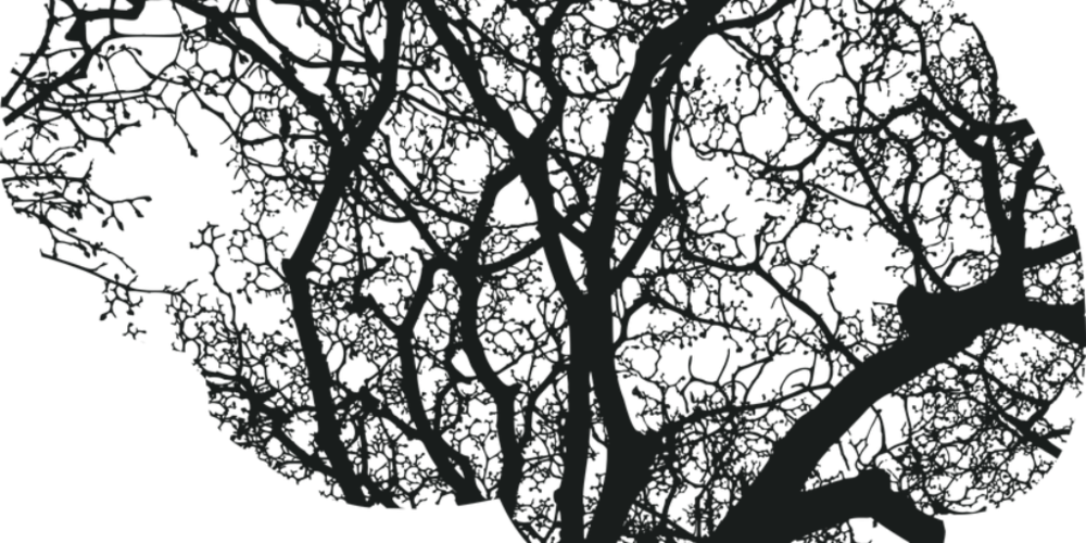 Brain Injury - Clipart Clip Art Mental Health Awareness - Png Download (1000x500), Png Download