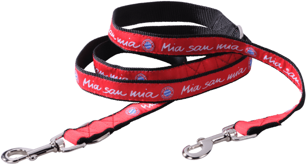 Strap Clipart (660x660), Png Download