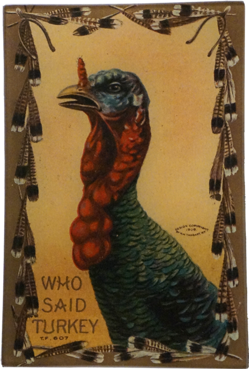 Turkey Clipart (800x800), Png Download