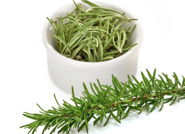 رزماری برای مو Clipart (600x600), Png Download