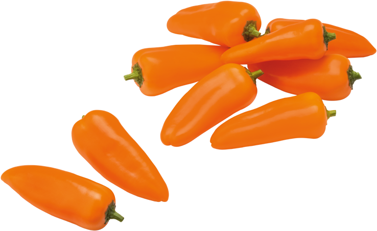 Sweet Mini Peppers - Oranje Paprika Clipart (800x560), Png Download