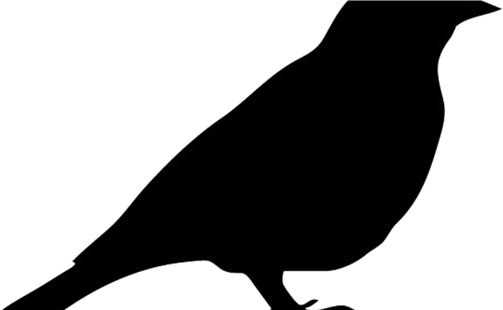 Mockingbird Clipart Robin - Oiseau Pochoir - Png Download (1200x630), Png Download