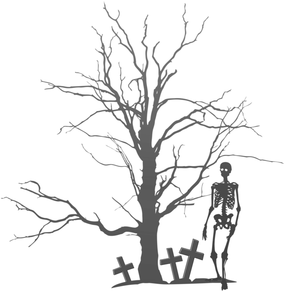 Halloween Tree And Skeleton Png Clipart Image Gallery - Halloween Tree Clipart Png Transparent Png (587x600), Png Download