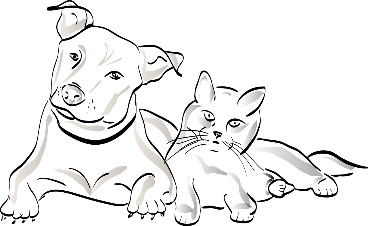 Why Dogs Kills Cats - Cat Clipart (1280x786), Png Download
