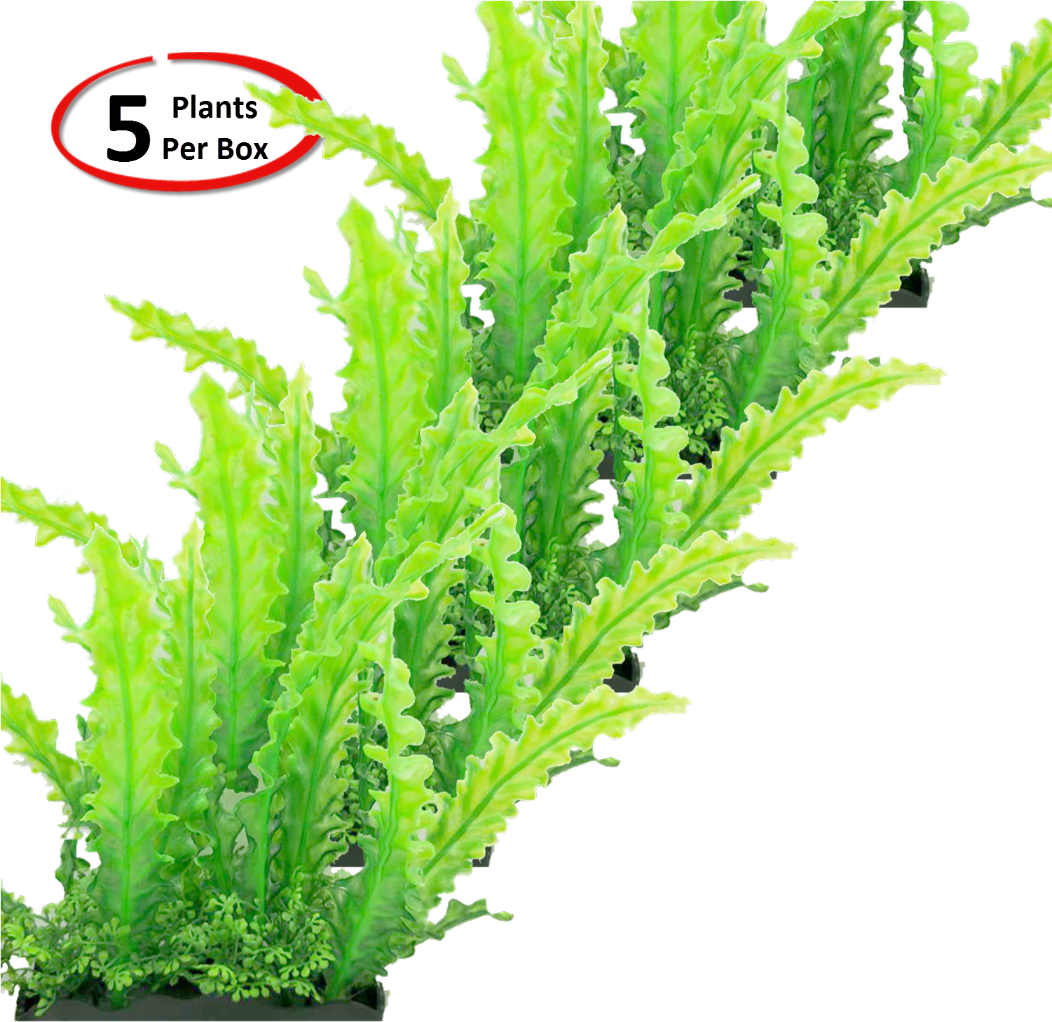 View Larger - Grass Clipart (1500x1500), Png Download