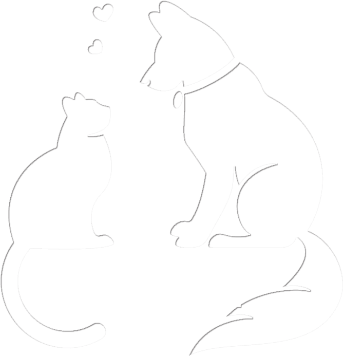 Boutique Dog Cat - Dog Clipart (800x838), Png Download