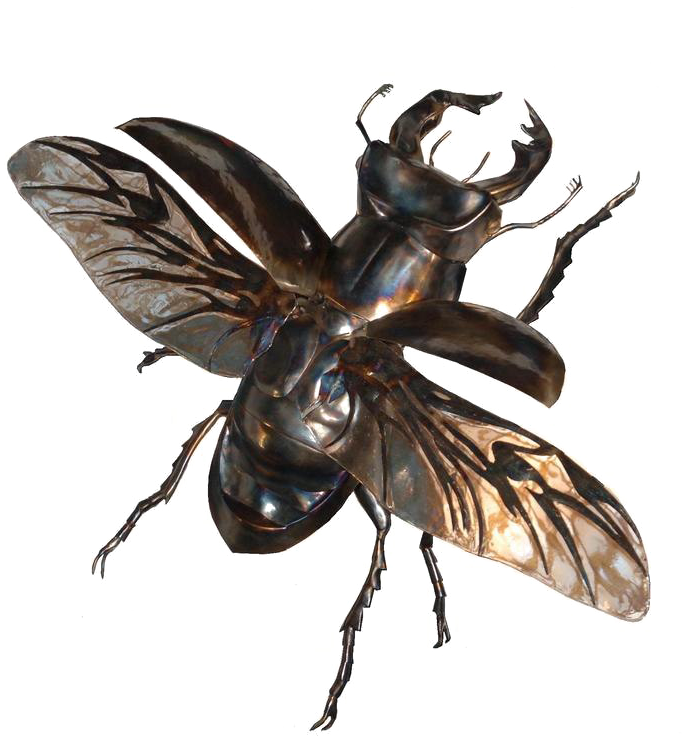 Flying Bug Png - Stag Beetle In Flight Clipart (750x784), Png Download