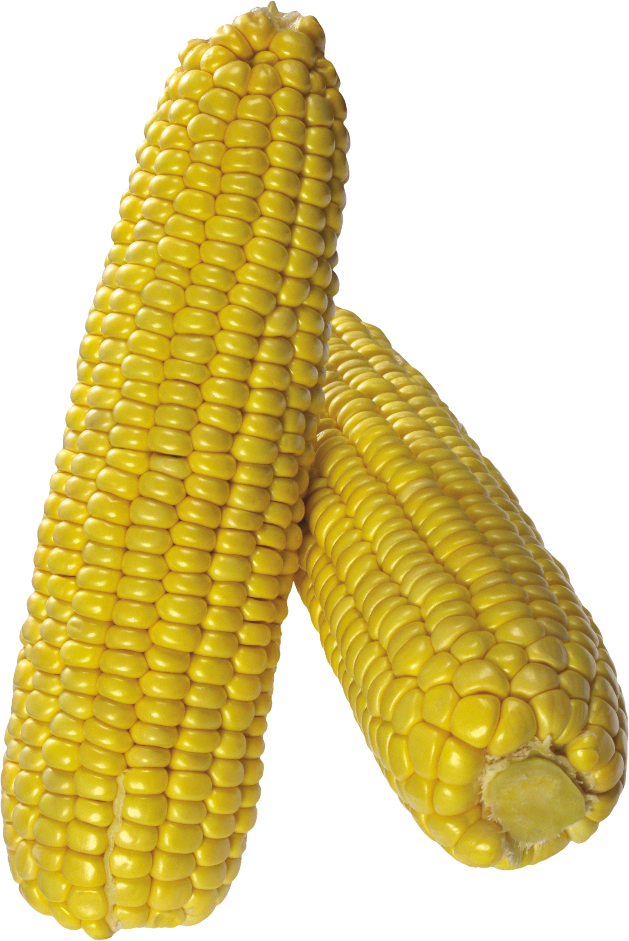 Corn Png Image Clipart (2113x3159), Png Download