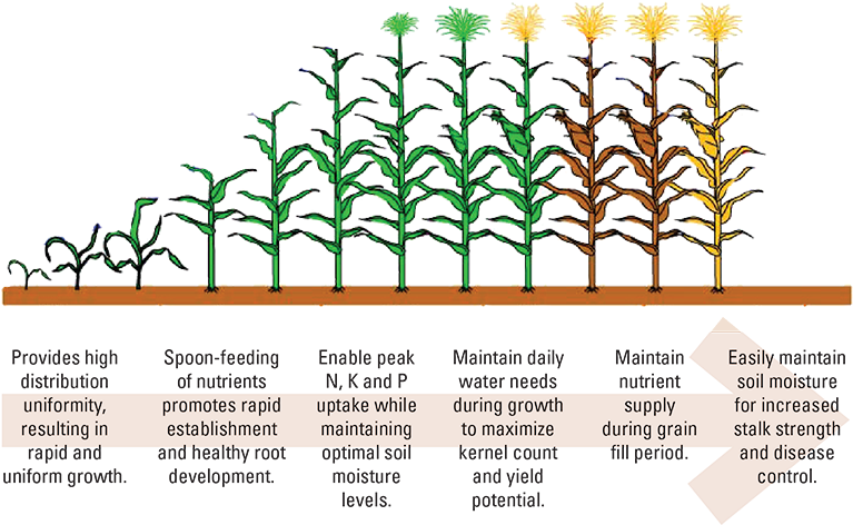 Experienced Growers Agree That Drip Irrigation Is Well Clipart (800x483), Png Download